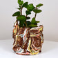 Planter Large