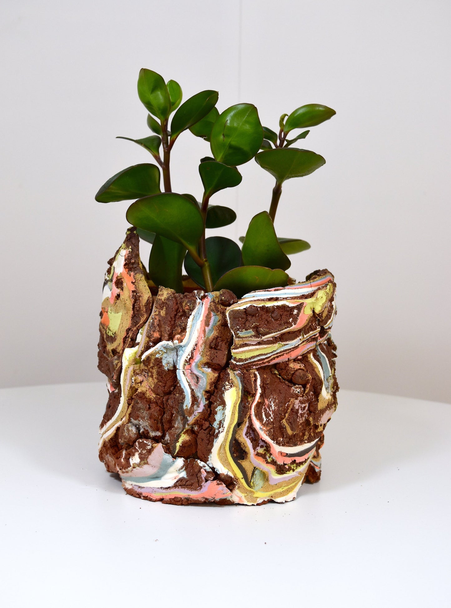 Planter Large