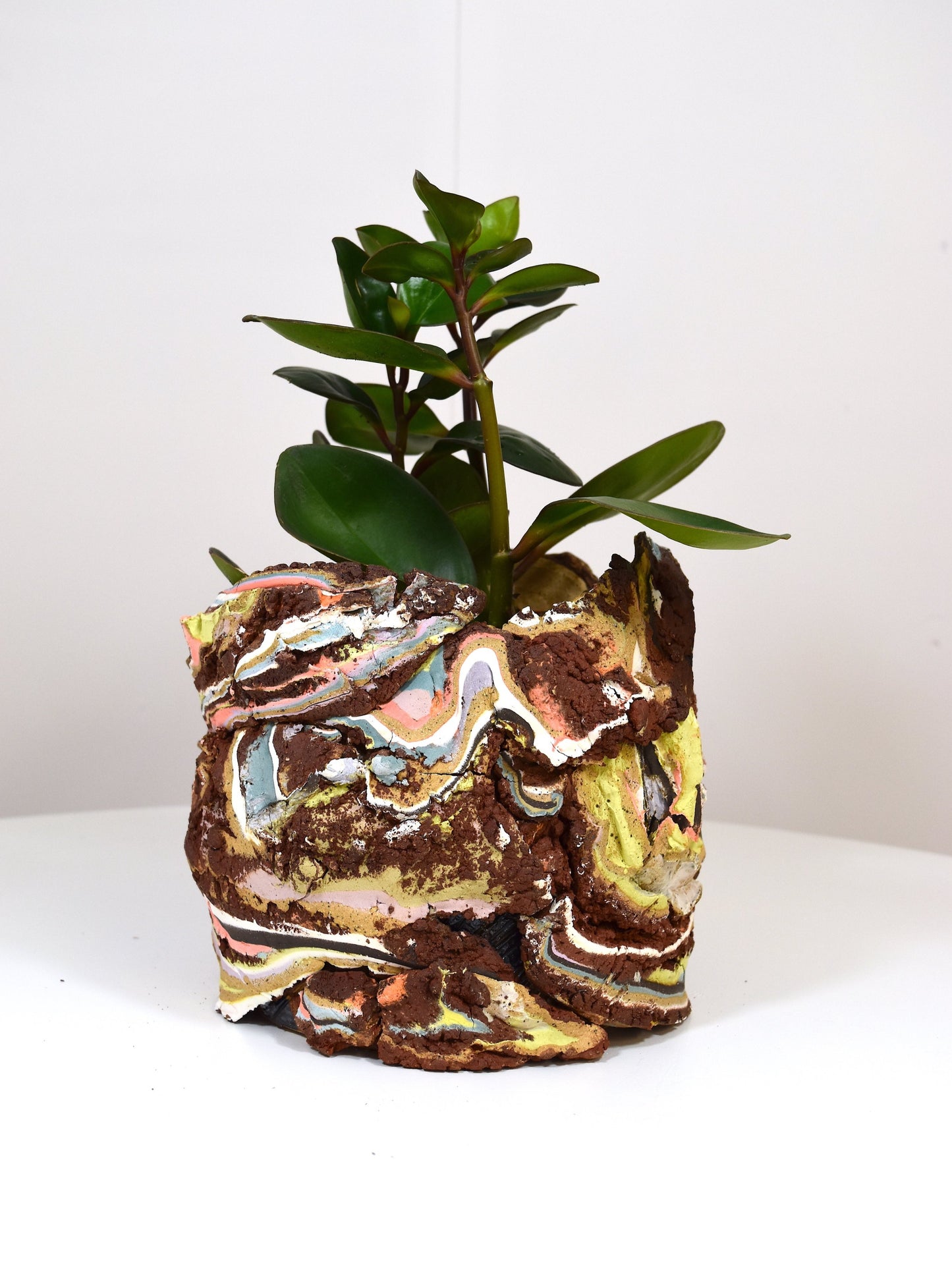 Planter Large
