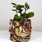 Planter Large