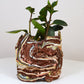 Planter Large
