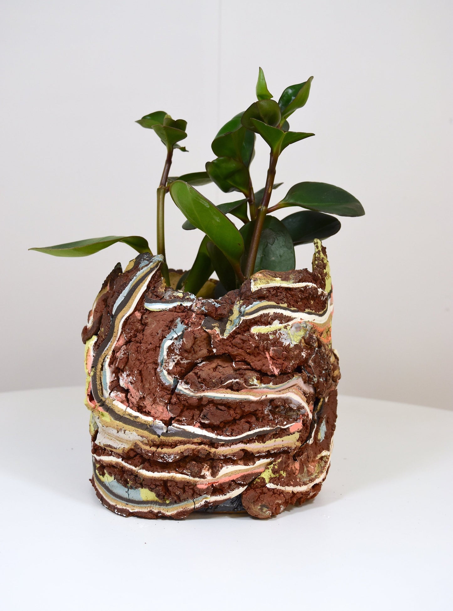 Planter Large