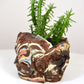 Planter Medium