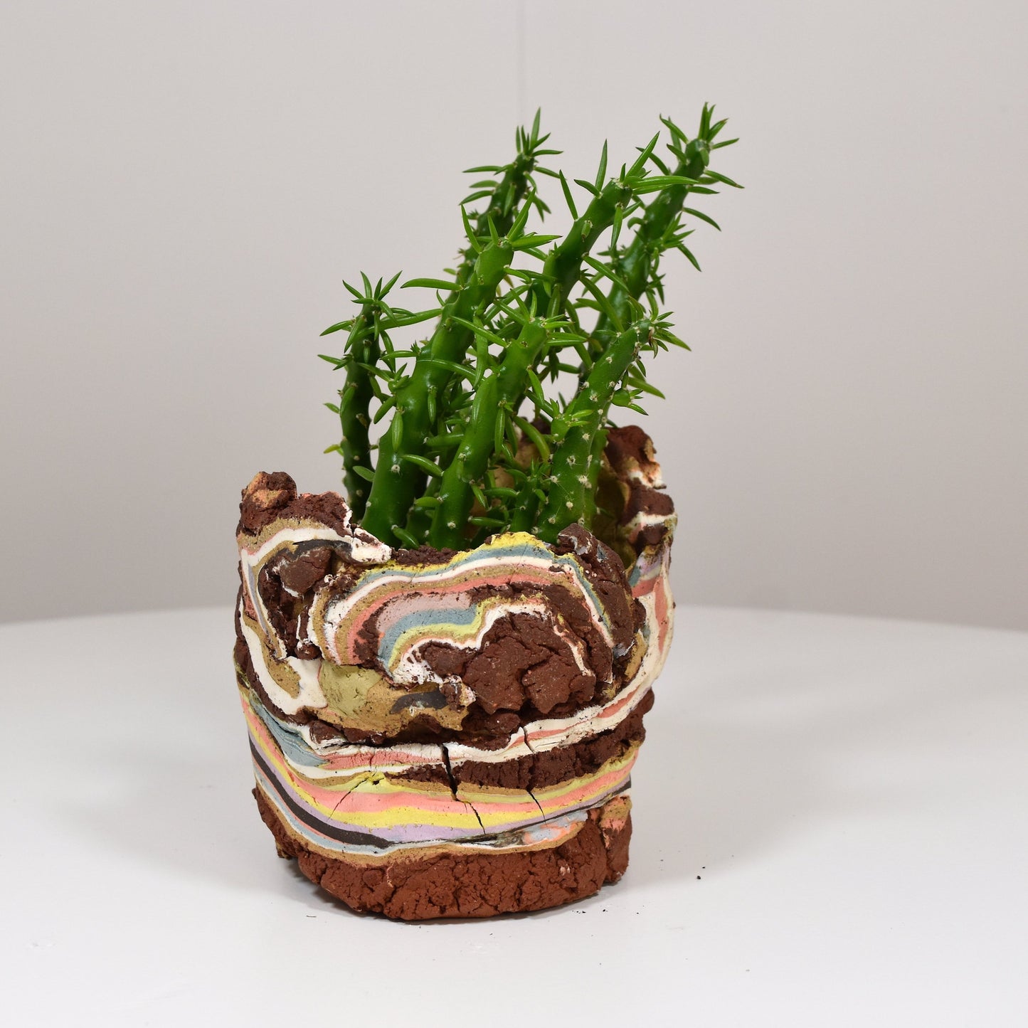 Planter Medium
