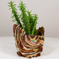 Planter Medium