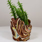 Planter Medium