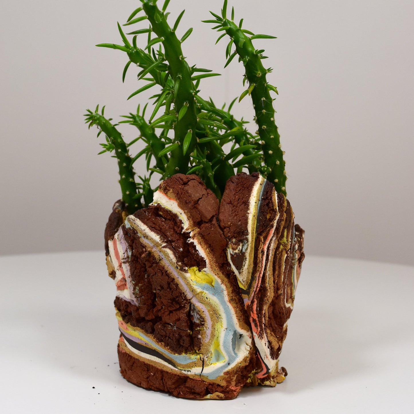 Planter Medium
