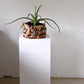 Planter XL