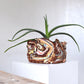 Planter XL