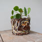 Planter Large