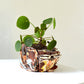 Planter Medium