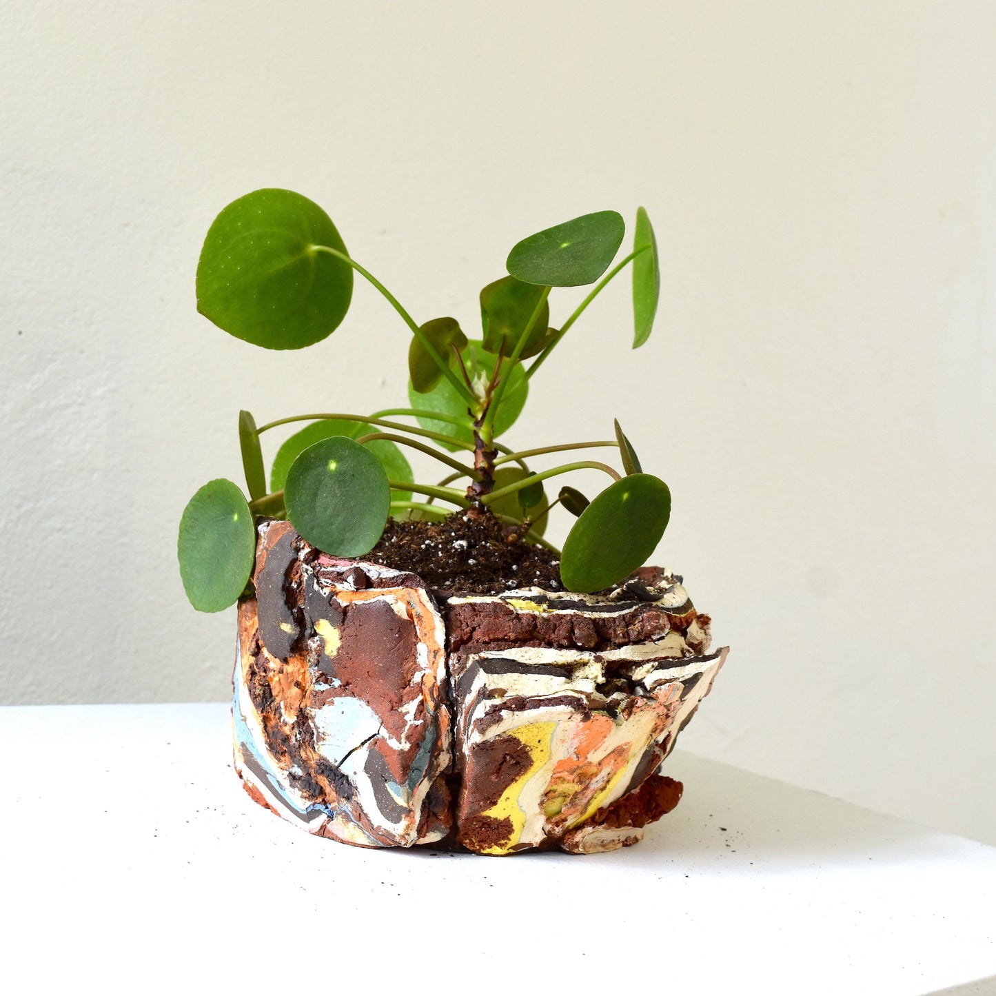 Planter Medium