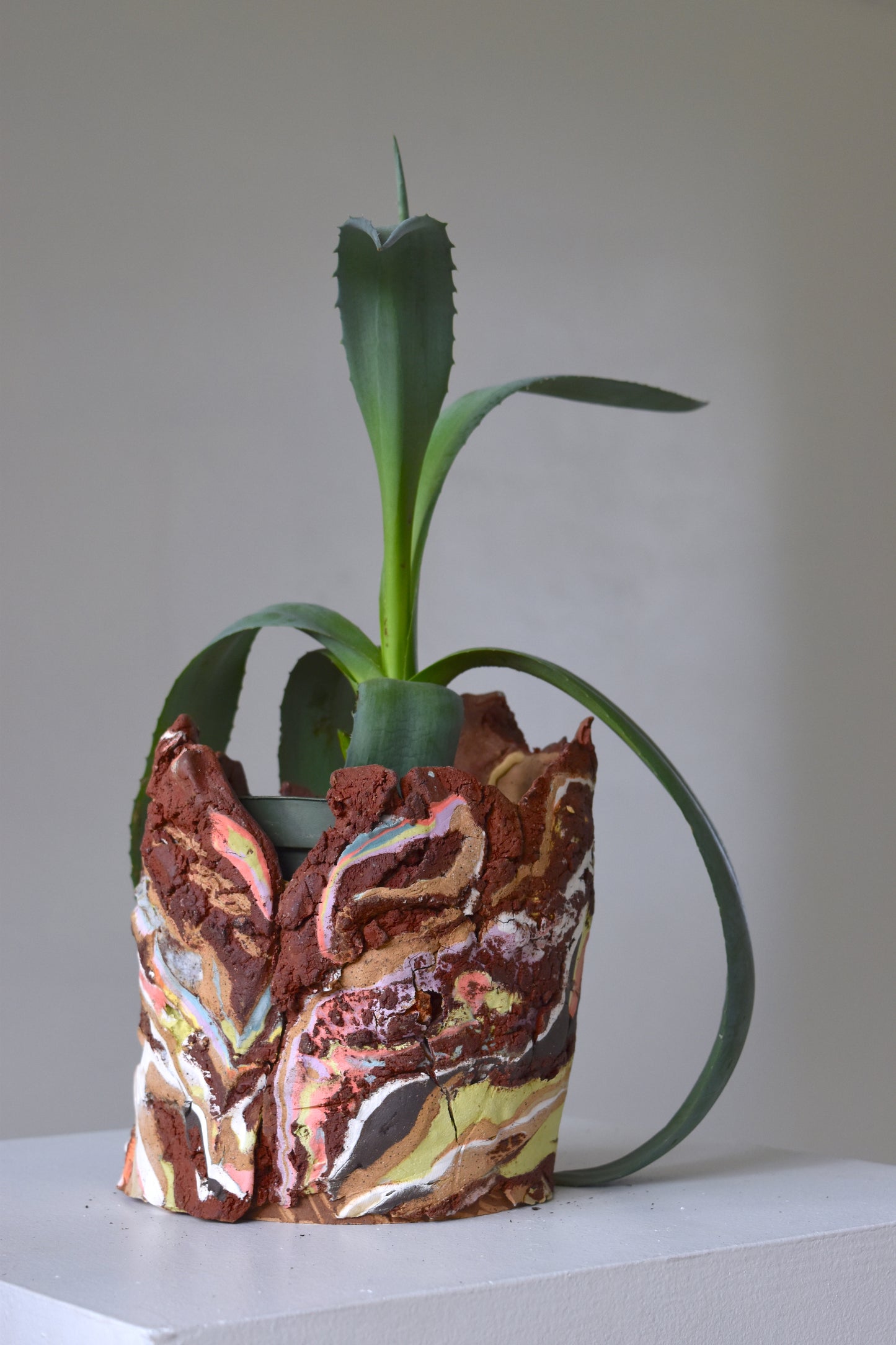 Planter Large