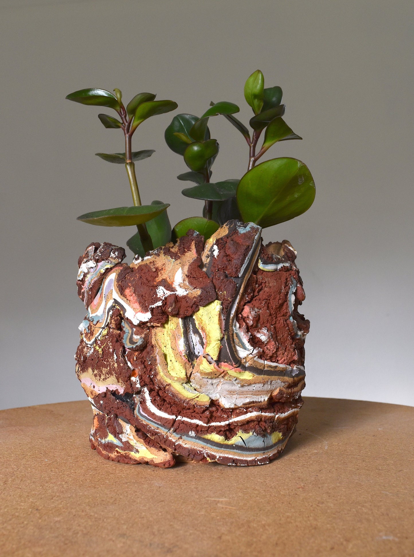 Planter Large