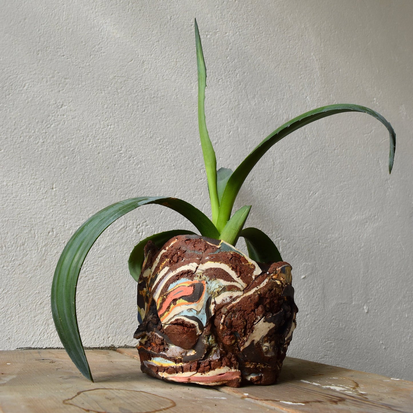 Planter Medium
