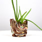 Planter Small