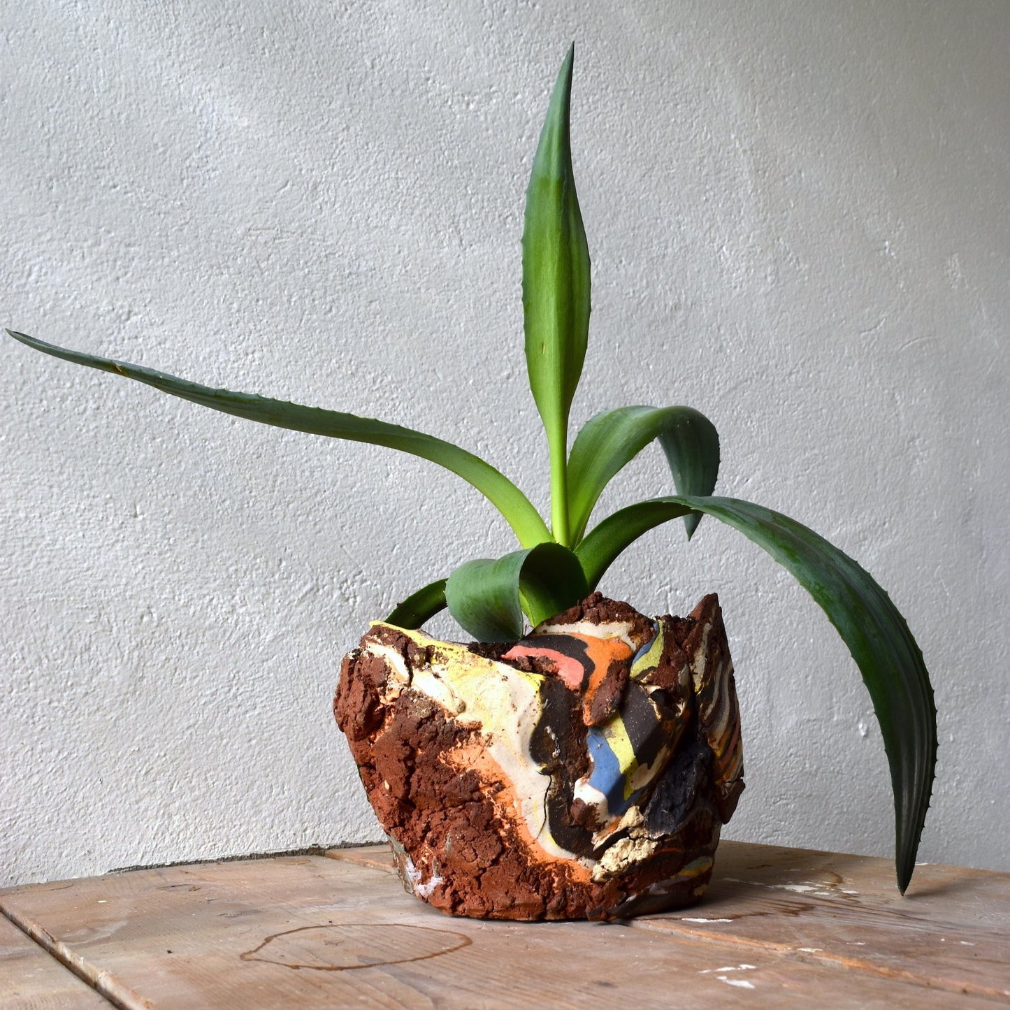 Planter Medium