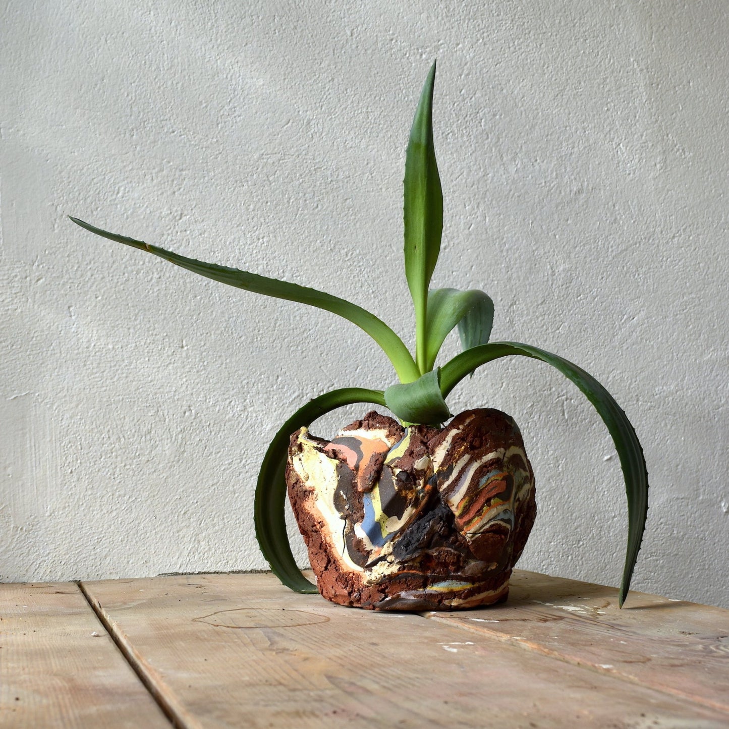 Planter Medium