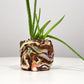 Planter Small