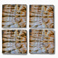Napkin Set of 4